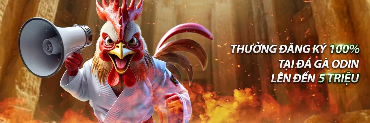 Chương trình VIP độc quyền tại bongdaso kèo nhà cái